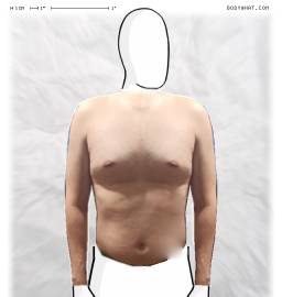 Torso