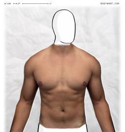 Torso