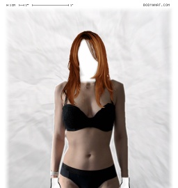 Torso