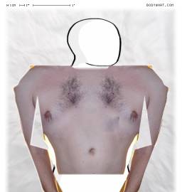 Torso