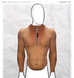 Torso