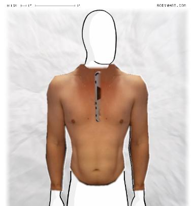 Slim Morphing