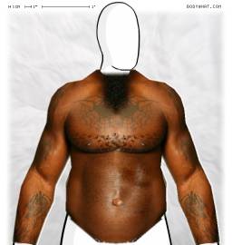 Torso