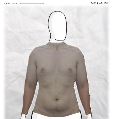 Muscle Morphing