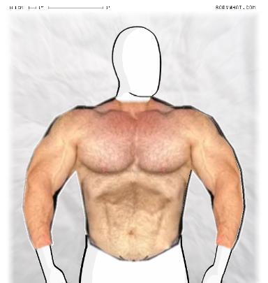 Muscle Morphing