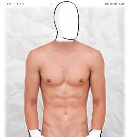 Torso