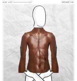 Torso