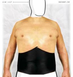 Torso