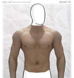 Torso